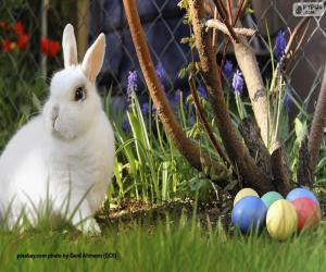 yapboz Beyaz tavşan ve Paskalya yumurtaları